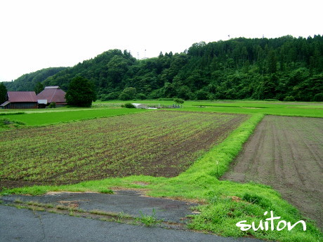 嵐の前の… って感じですか?